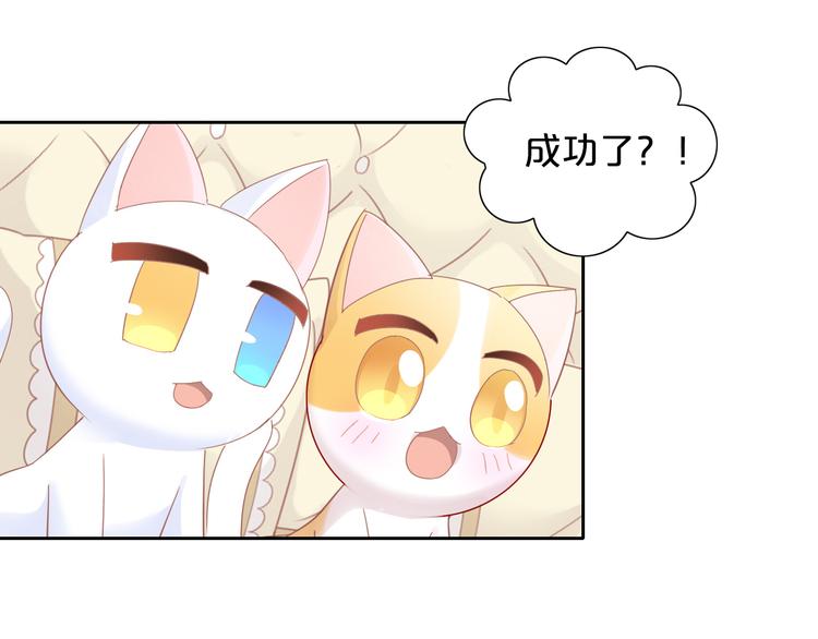 第170话 皮卡和小智70