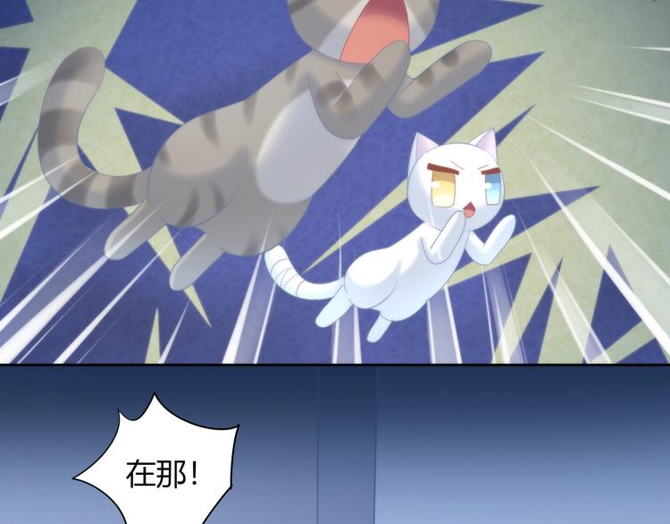 第96话 神秘小偷现身58