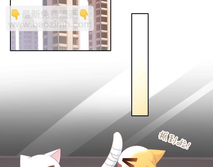 第129话 猫舍C位（五）48