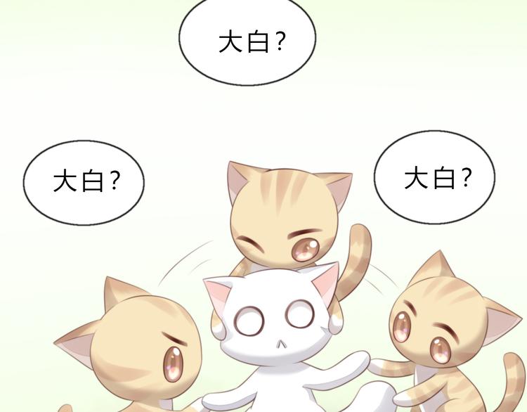 第61话 合作8