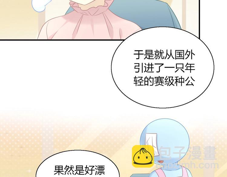 第129话 猫舍C位（五）37