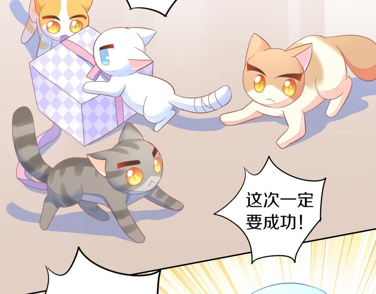 第166话 猫咪花园92