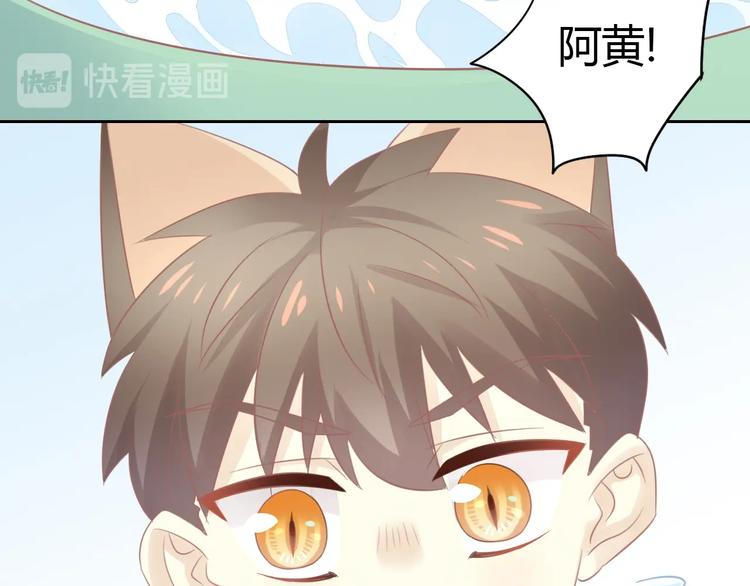 第128话 猫舍C位（四）71