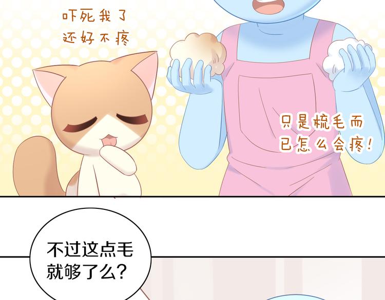 第195话  宠物毛毡32