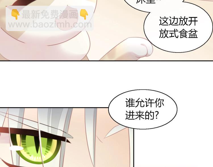 第125话 猫舍C位（一）32