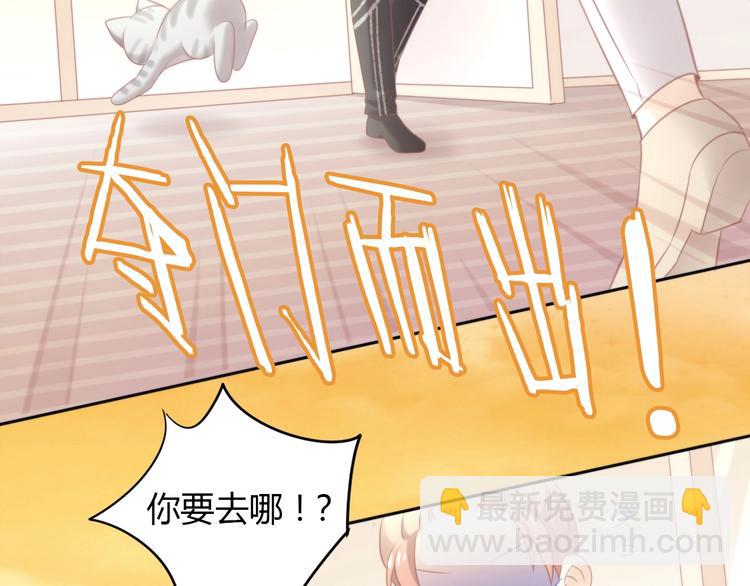 第125话 猫舍C位（一）57