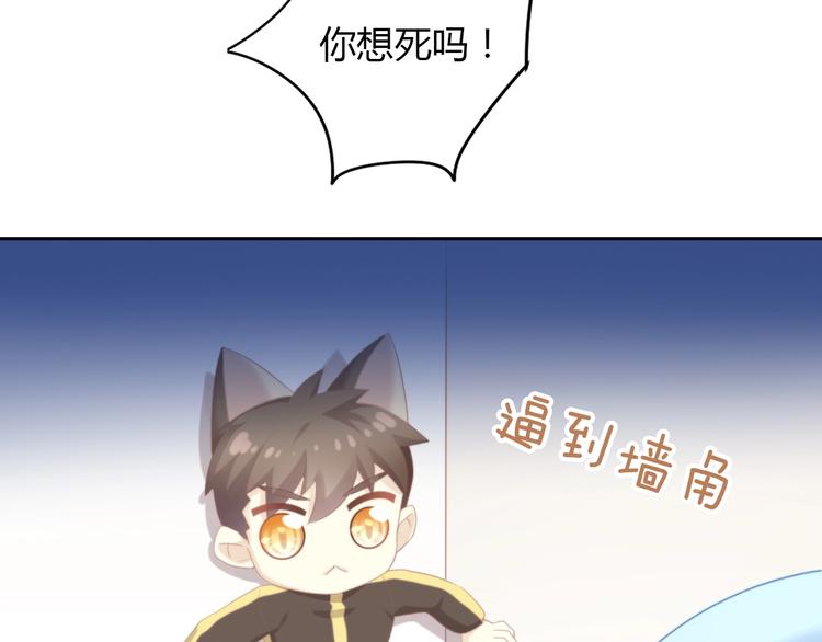 第114话 猫咪也要刷牙！67