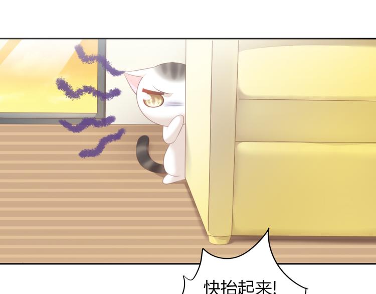 第85话 新伙伴？！41