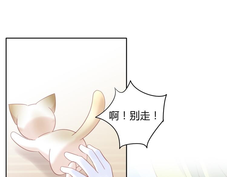 第134话  撸猫技师（二）53