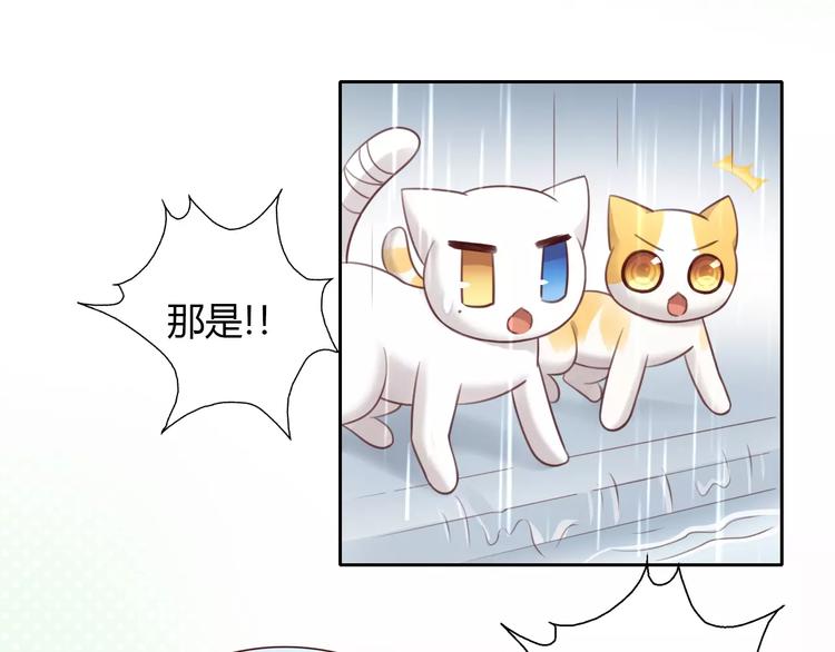 第48话 一定要找到你！60