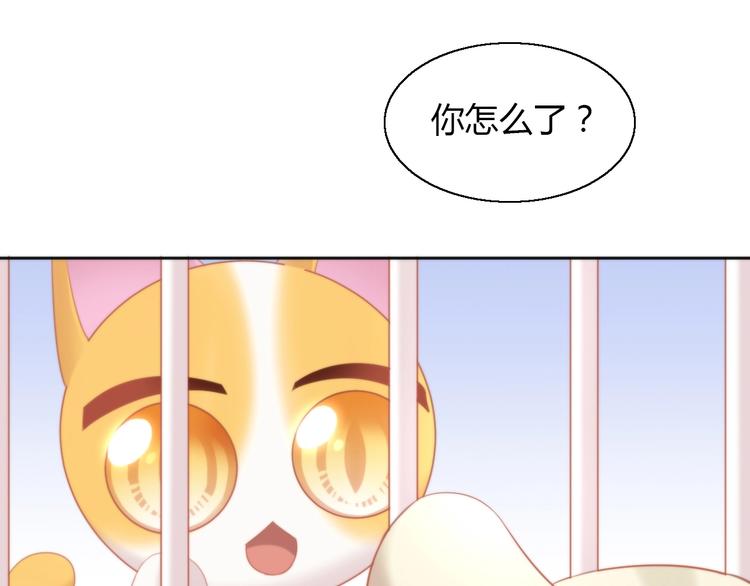 第108话 仓鼠也有梦想！40
