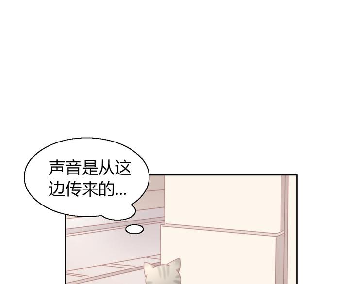 第126话 猫舍C位（二）19