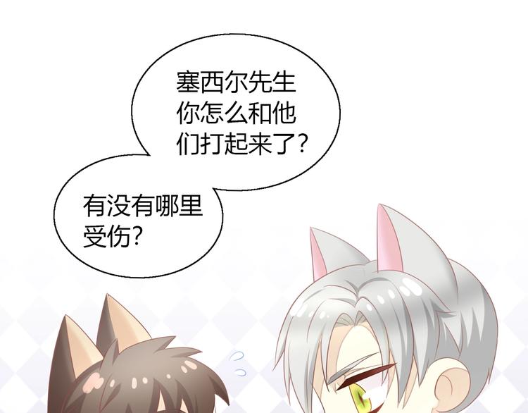 第126话 猫舍C位（二）34