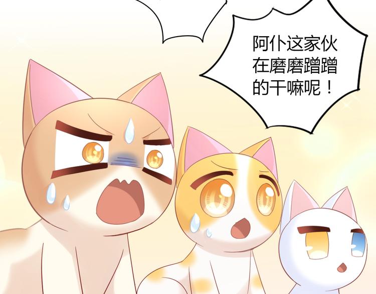 第134话  撸猫技师（二）46