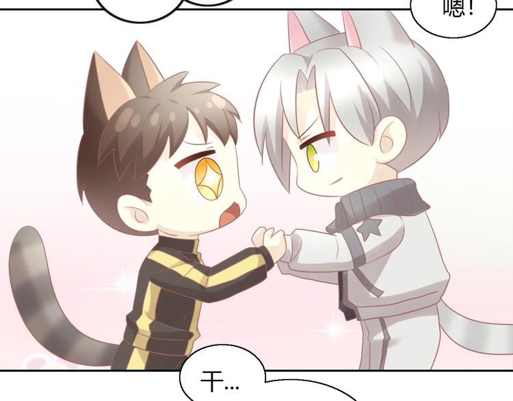 第130话 猫舍C位（六）84