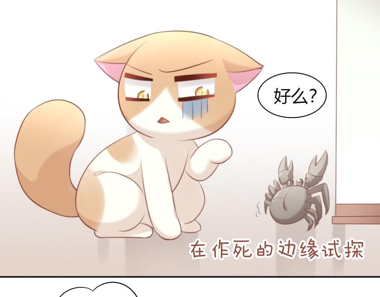 第72话 螃蟹大战50