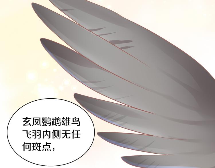 第170话 皮卡和小智31