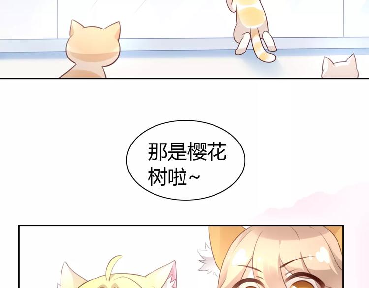 第38话 樱花果冻7