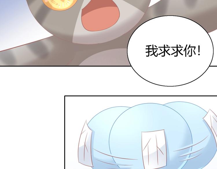 第130话 猫舍C位（六）40