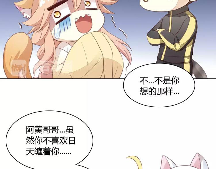 第14话  萌宠失踪32
