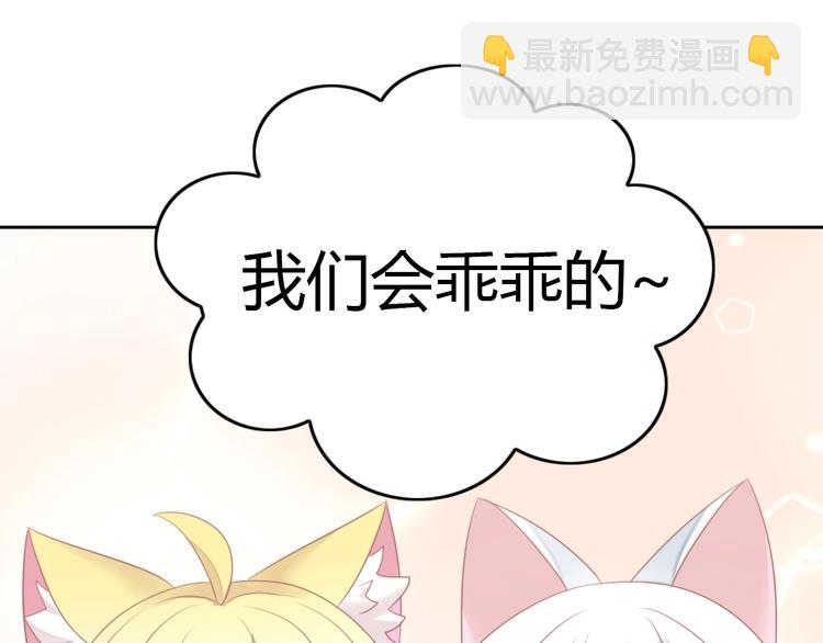 第127话 猫舍C位（三）27