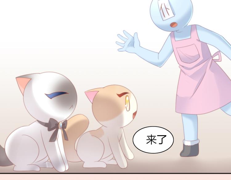 第78话 选美比赛41