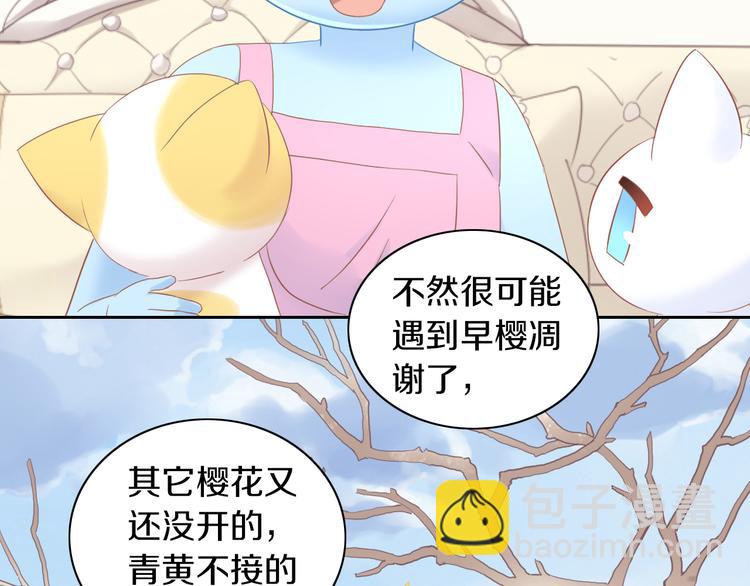 第197话 樱花攻略24