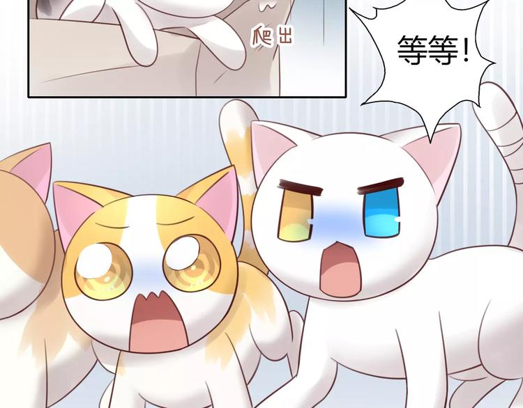 第48话 一定要找到你！65