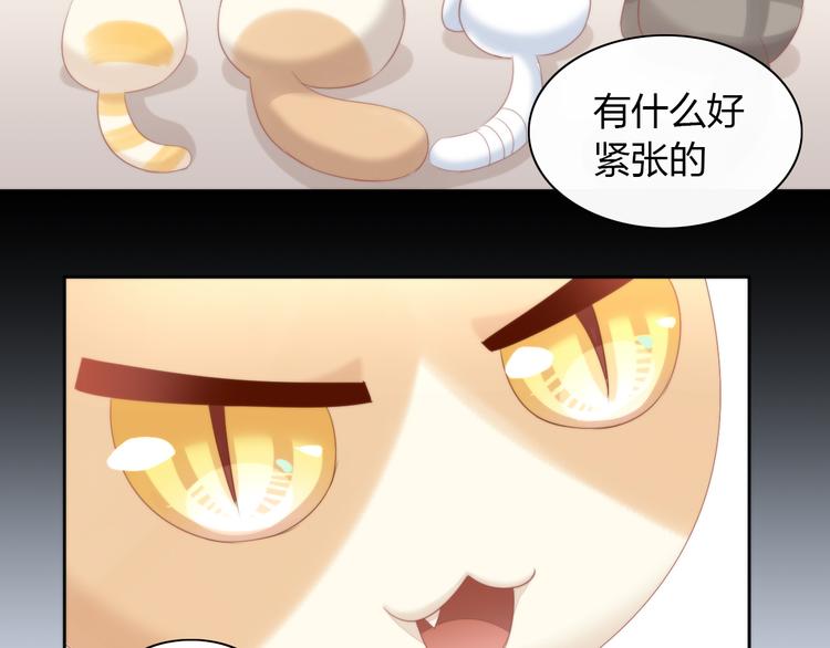 第78话 选美比赛11