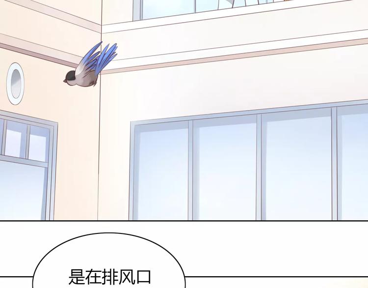 第39话 鸟妈妈的苦心11