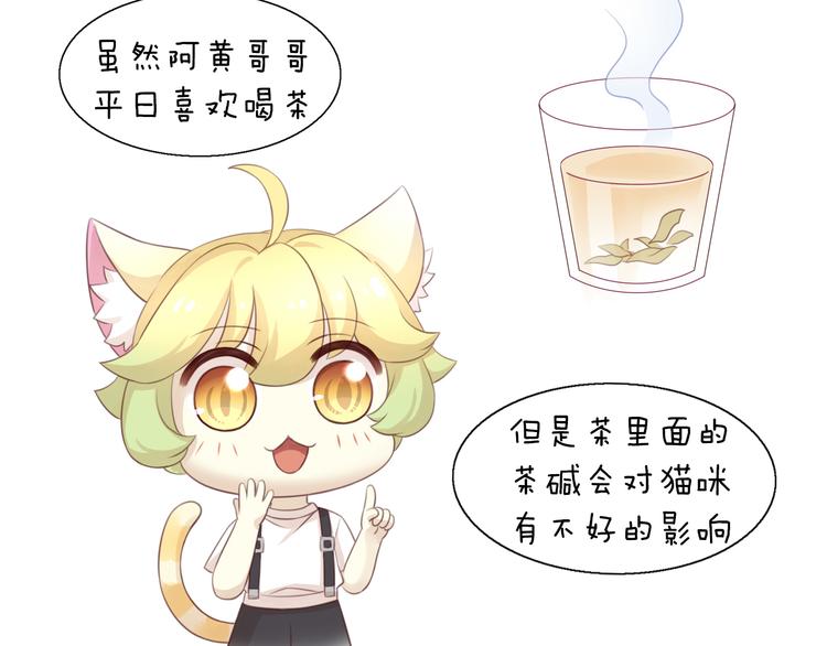 第51话 人猫大互换？117