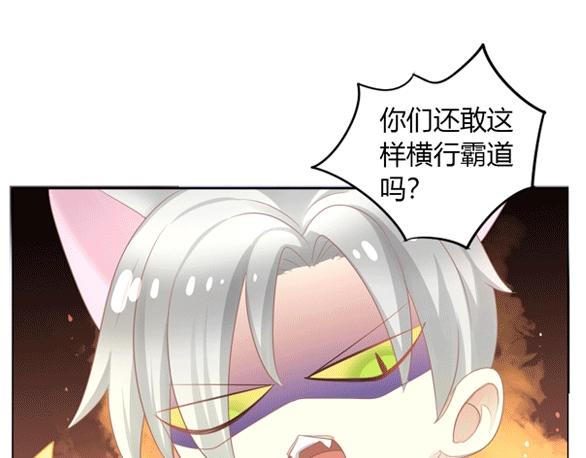 第125话 猫舍C位（一）88