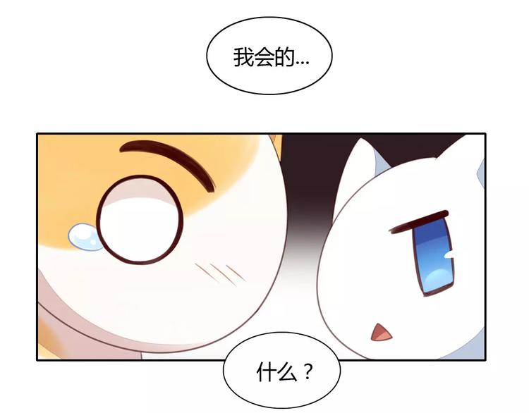 第14话  萌宠失踪36
