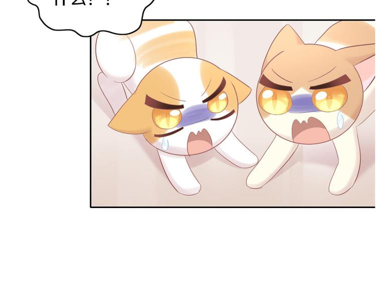 第194话 选主人90
