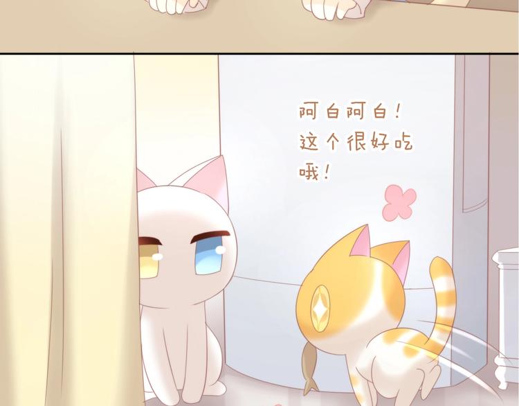 第100话 离开7