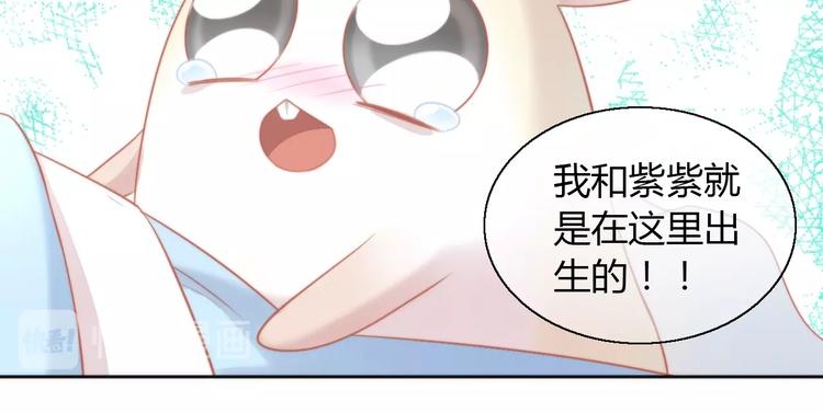 第109话 小紫42