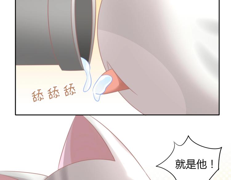 第125话 猫舍C位（一）80