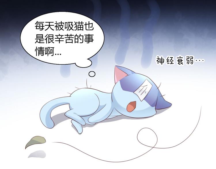 第51话 人猫大互换？46
