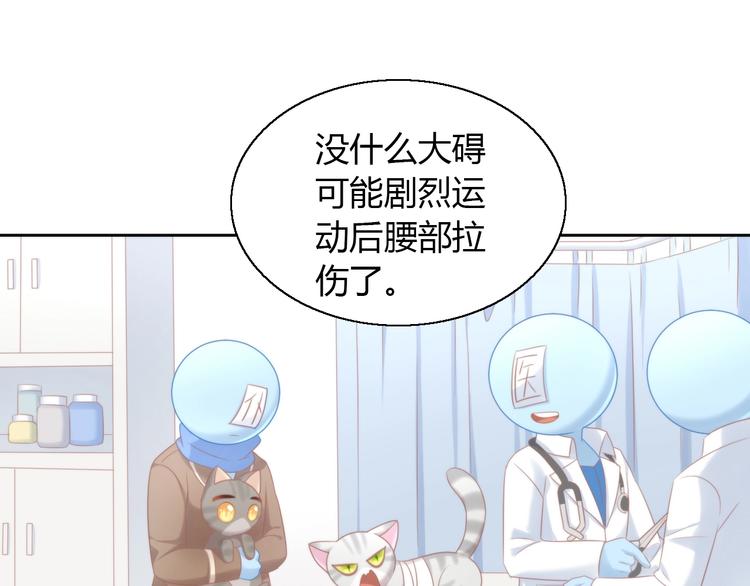 第126话 猫舍C位（二）66