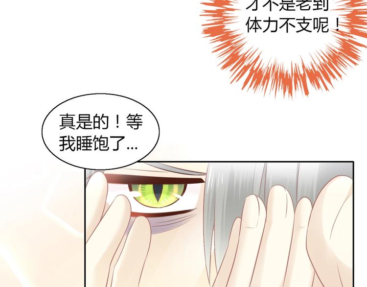 第125话 猫舍C位（一）25