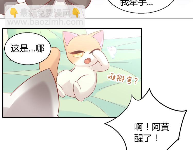 第136话 撸猫技师（四）78