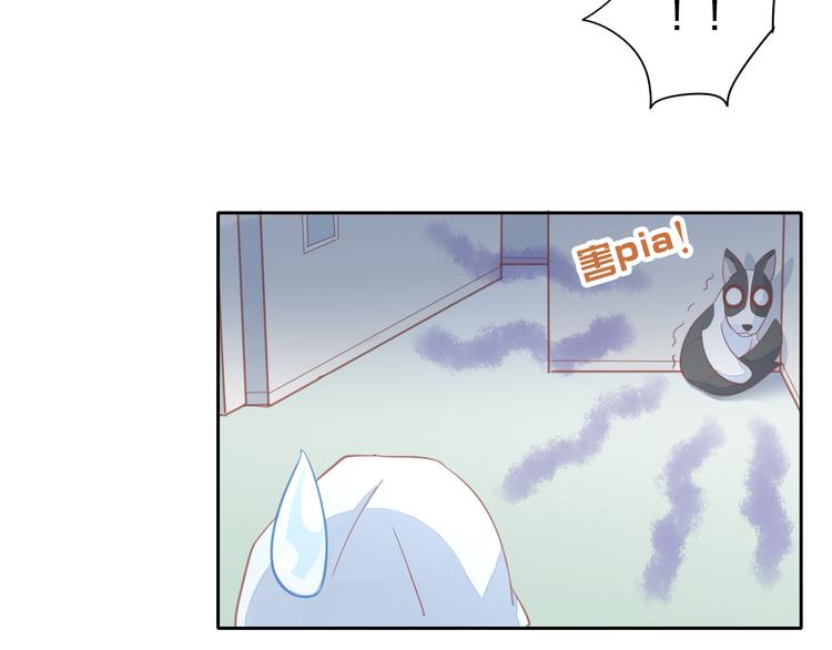 第143话 腮红鹦鹉14