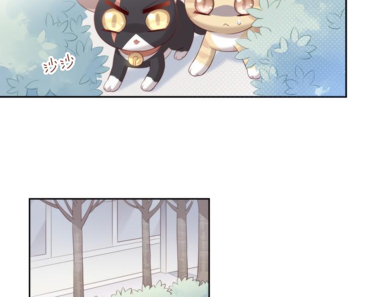 第68话 突发意外6