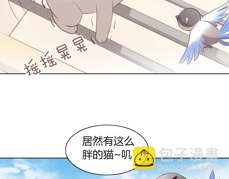 第39话 鸟妈妈的苦心48