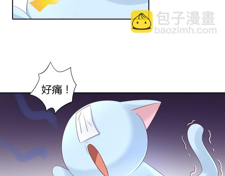 第51话 人猫大互换？61