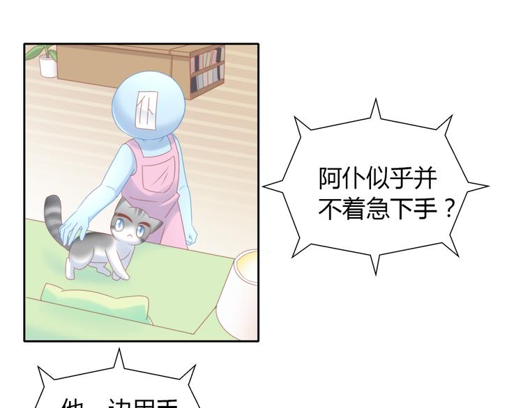 第134话  撸猫技师（二）49