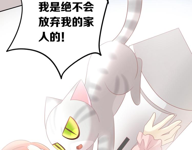 第130话 猫舍C位（六）59