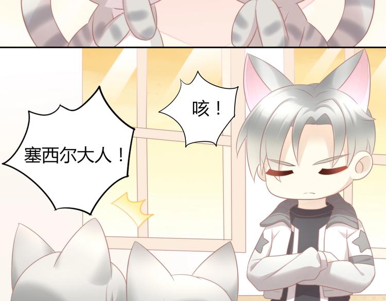 第125话 猫舍C位（一）16