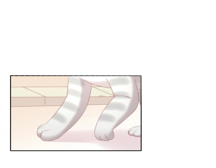 第125话 猫舍C位（一）61