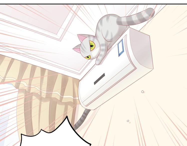 第130话 猫舍C位（六）15